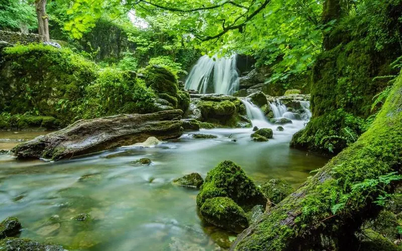 高标准独特高标准